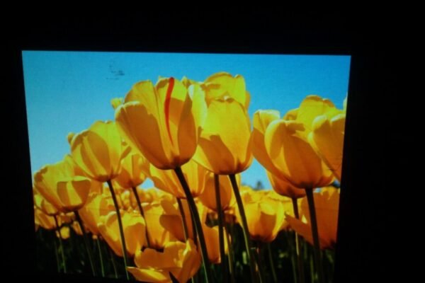 NEC NP410W Multimedia Projector